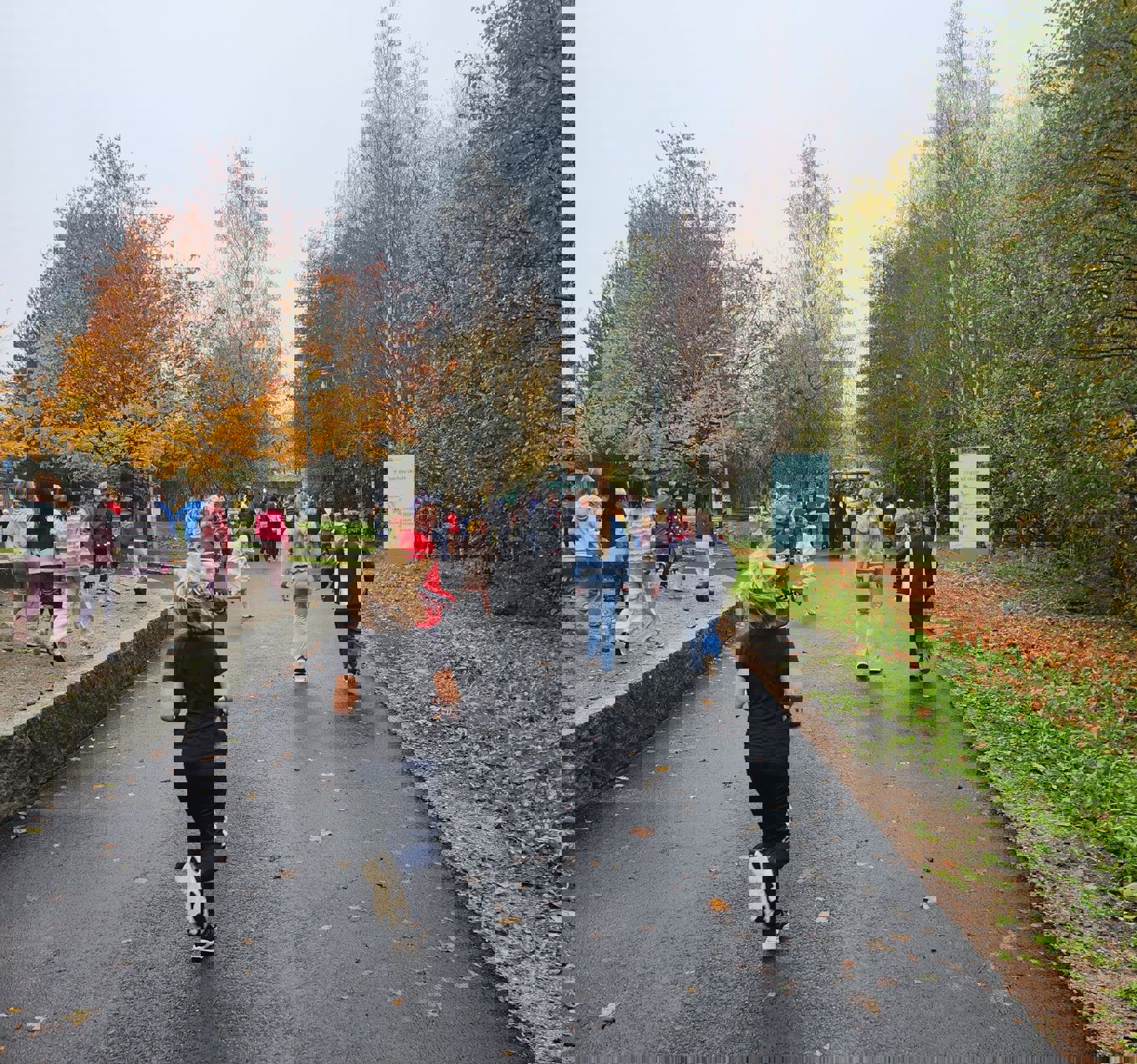 en gruppe mennesker som går på en sti med trær på hver side