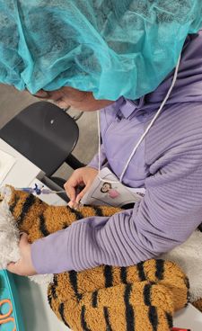 en person som maler på et bord